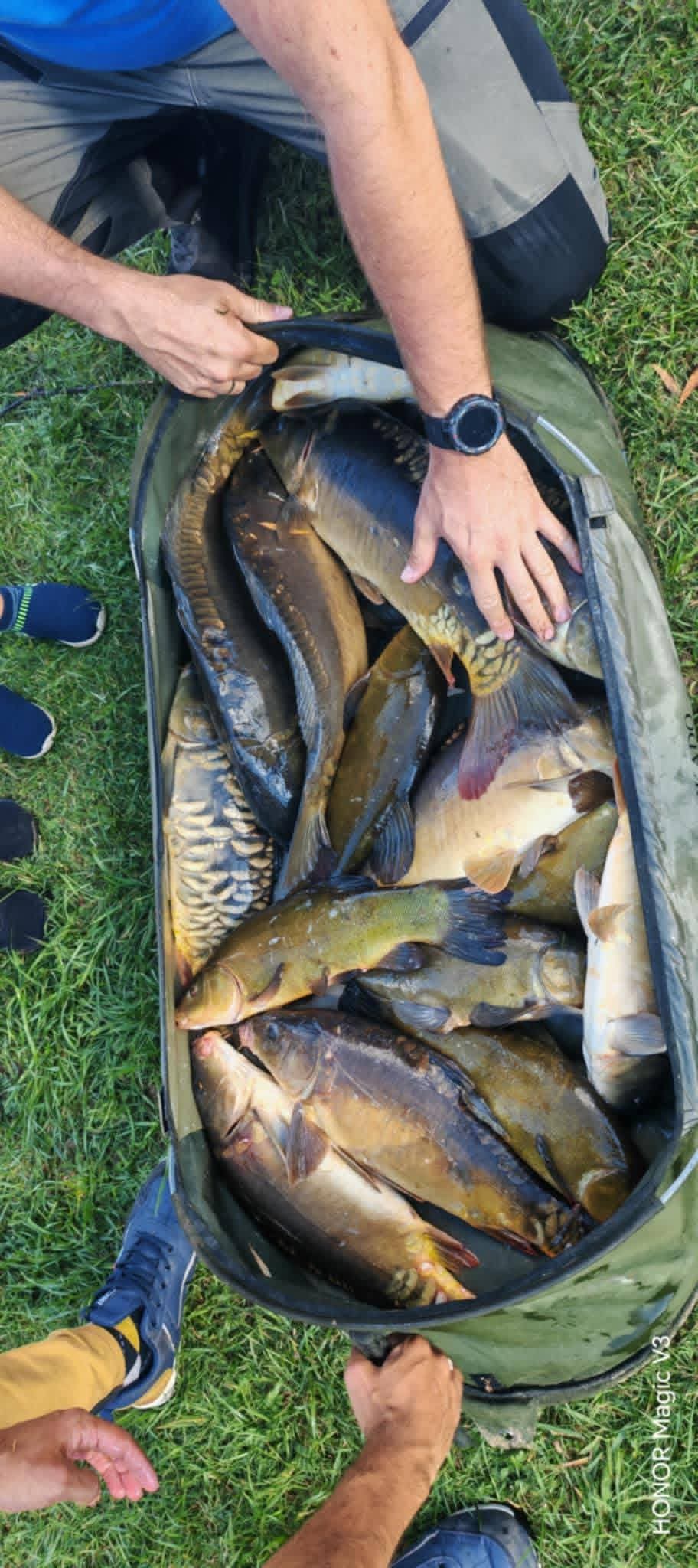 Sezon 2025 WhatsApp 97